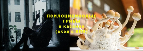 бошки Пестово