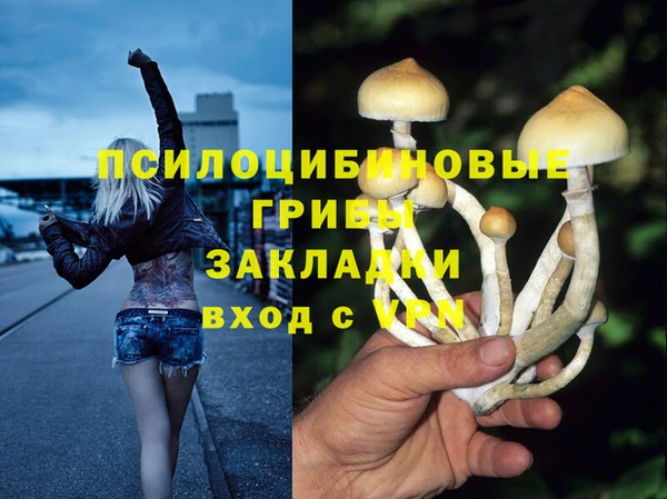 МДПВ Покровск
