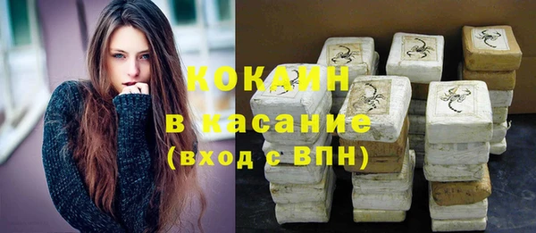 винт Пересвет