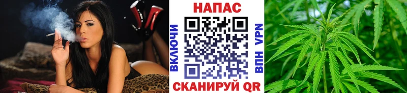 Купить закладки  Красавино  Конопля Bruce Banner 